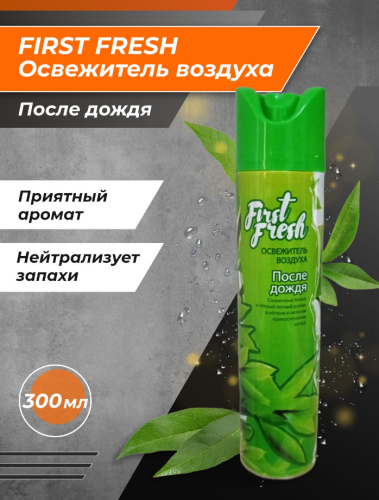 ПП492 После дождя 1